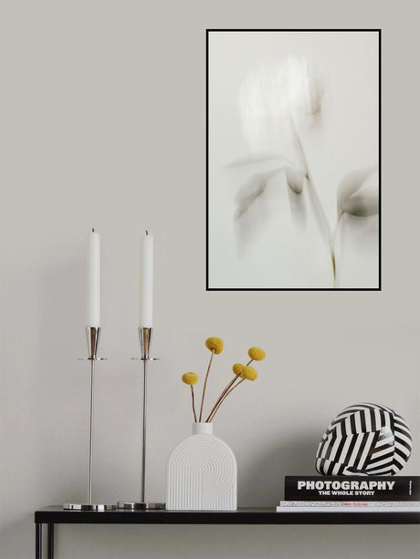 Peony 06 Poster och Canvastavla