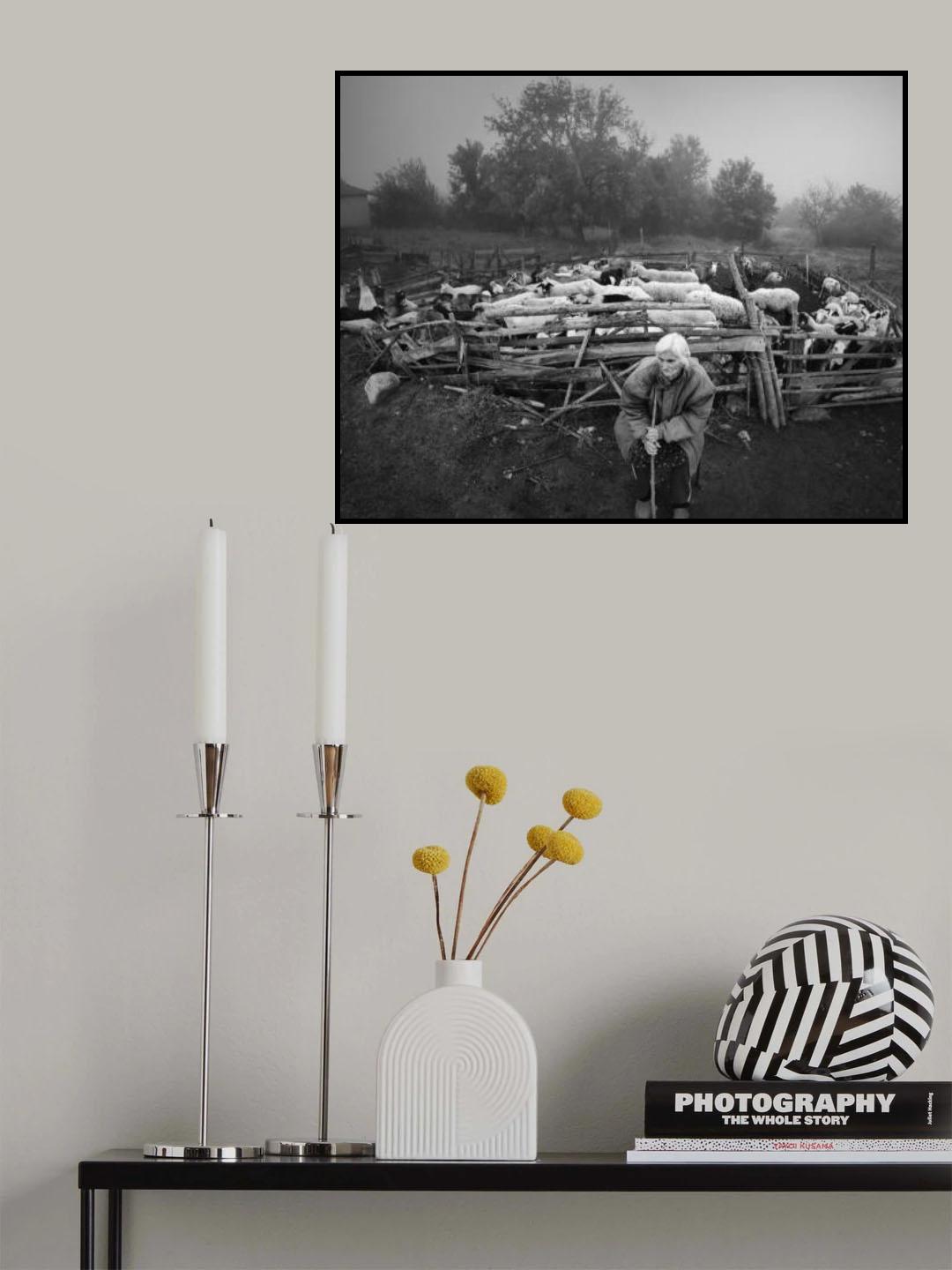 Poster och Canvastavla