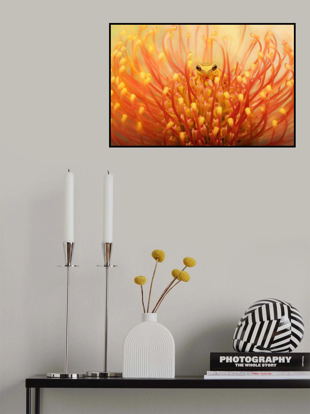 Lemur Tree Frog in a Tropical Protea Flower Poster och Canvastavla