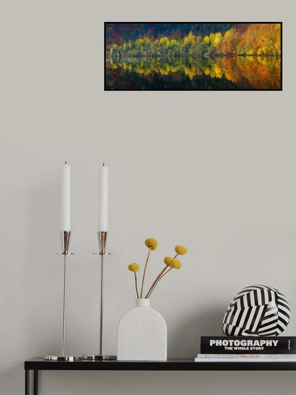 Autumnal silence Poster och Canvastavla