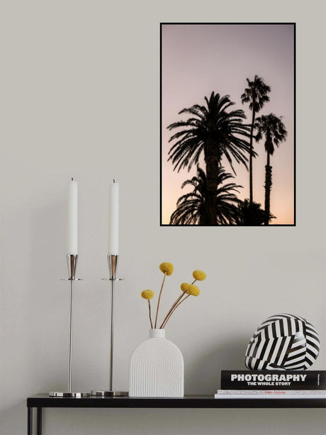 Sea Point Poster och Canvastavla