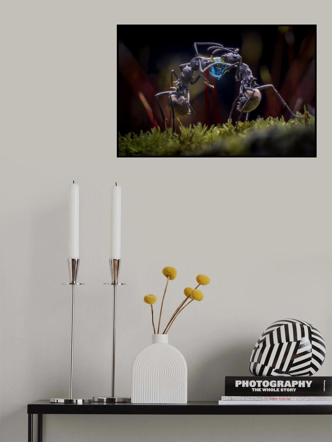 The Two Ants Poster och Canvastavla