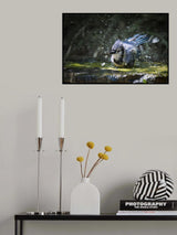Splash! Poster och Canvastavla