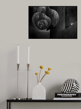 Looking for the exit Poster och Canvastavla