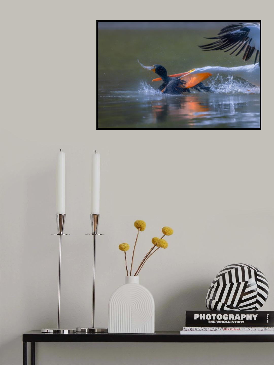 Pelicon &amp; Cormorant Poster och Canvastavla