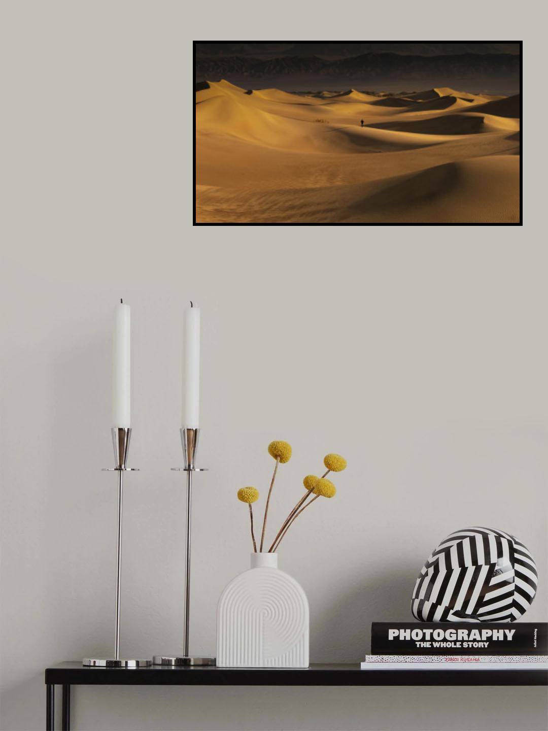 Where to go? Poster och Canvastavla