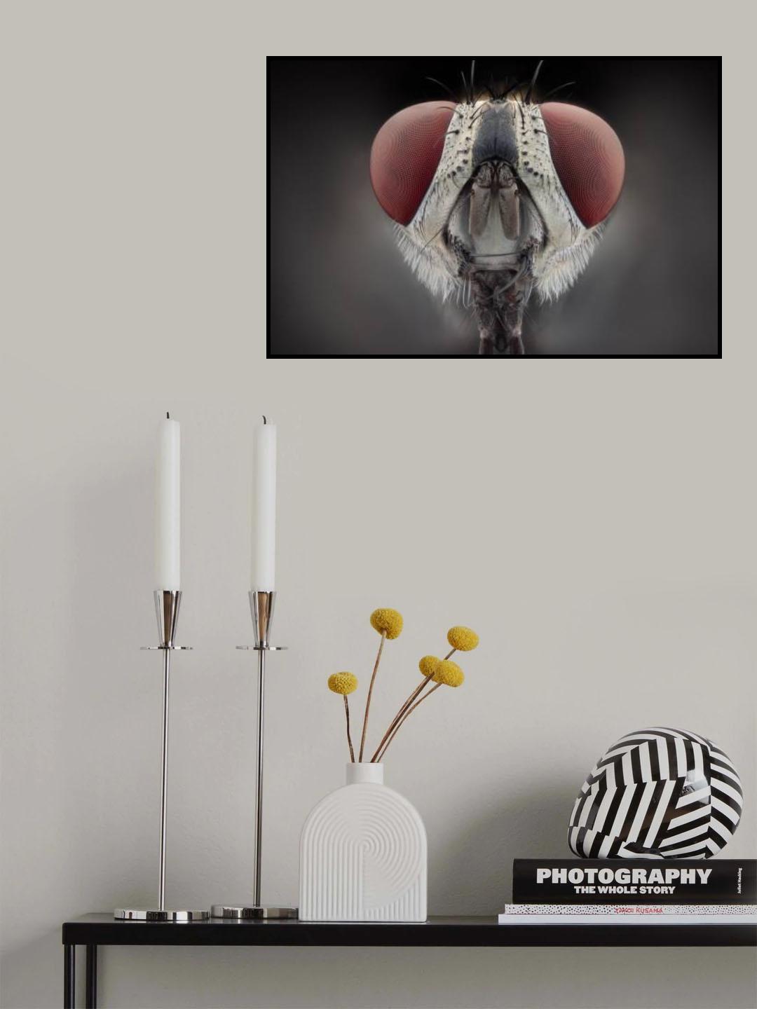 Fly Poster och Canvastavla