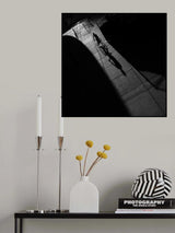 Light and shadows Poster och Canvastavla