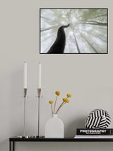 Misty views Poster och Canvastavla