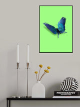 Parrot Butterfly Poster och Canvastavla