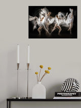 Poster och Canvastavla