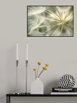 coeur de velour ... Poster och Canvastavla