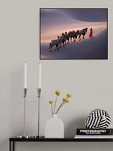 沙漠驼影 Poster och Canvastavla