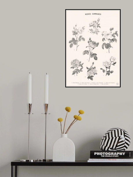 Roses Poster och Canvastavla
