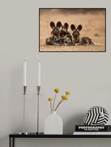WILD BUNCH Poster och Canvastavla