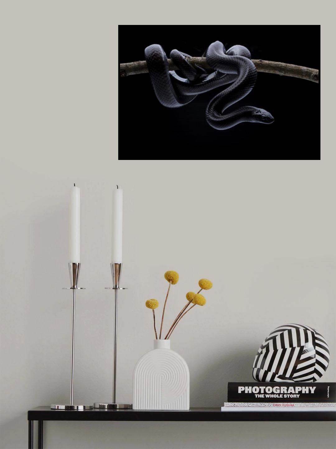King Snake Poster och Canvastavla