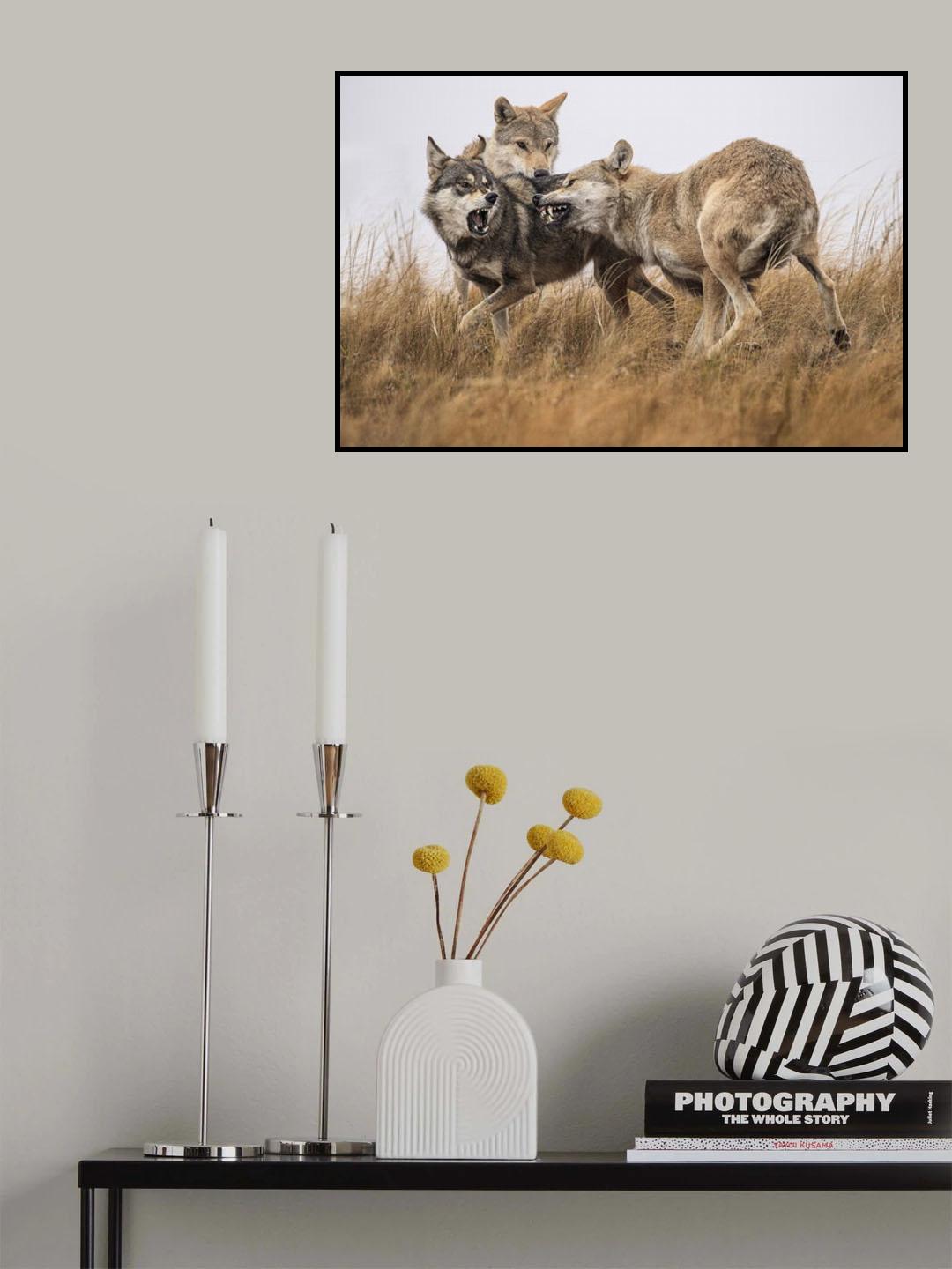 Three's Company Poster och Canvastavla