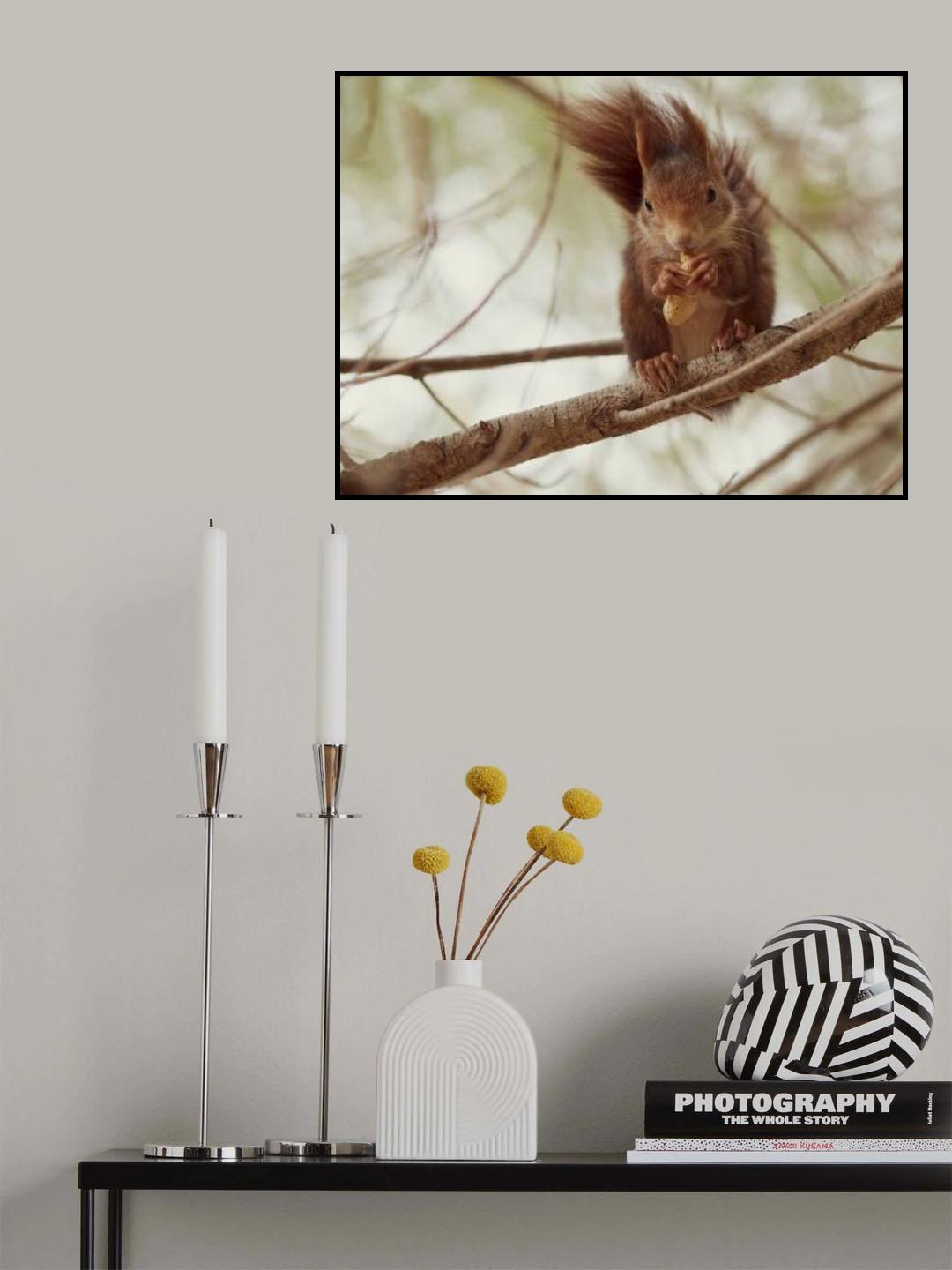 Spanish squirrel Poster och Canvastavla