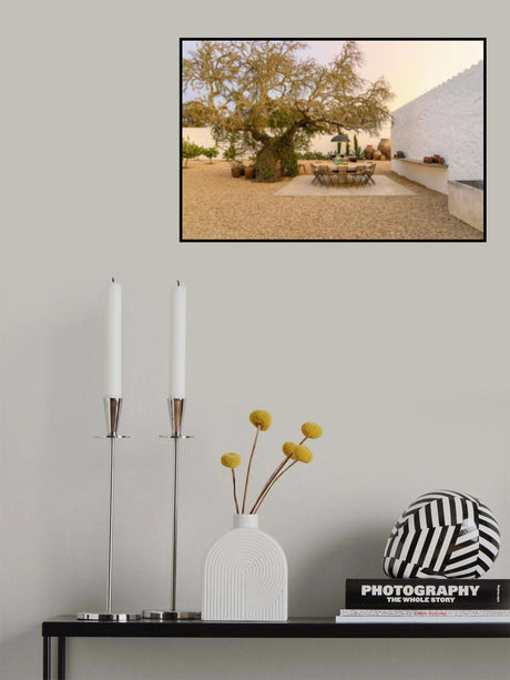 Casadavolta Villa Poster och Canvastavla