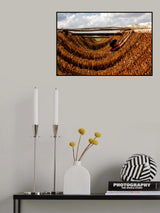 tobacco drying Poster och Canvastavla