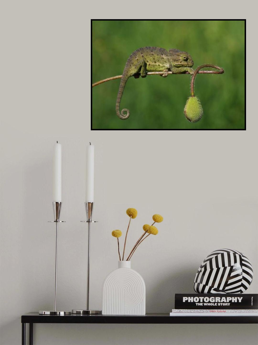 signature Poster och Canvastavla