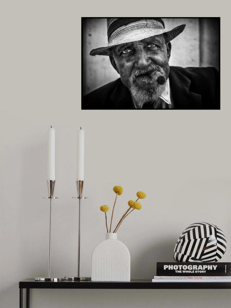 elegance Poster och Canvastavla