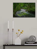 A Delicate Branch Poster och Canvastavla