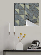 Captured shadows Poster och Canvastavla