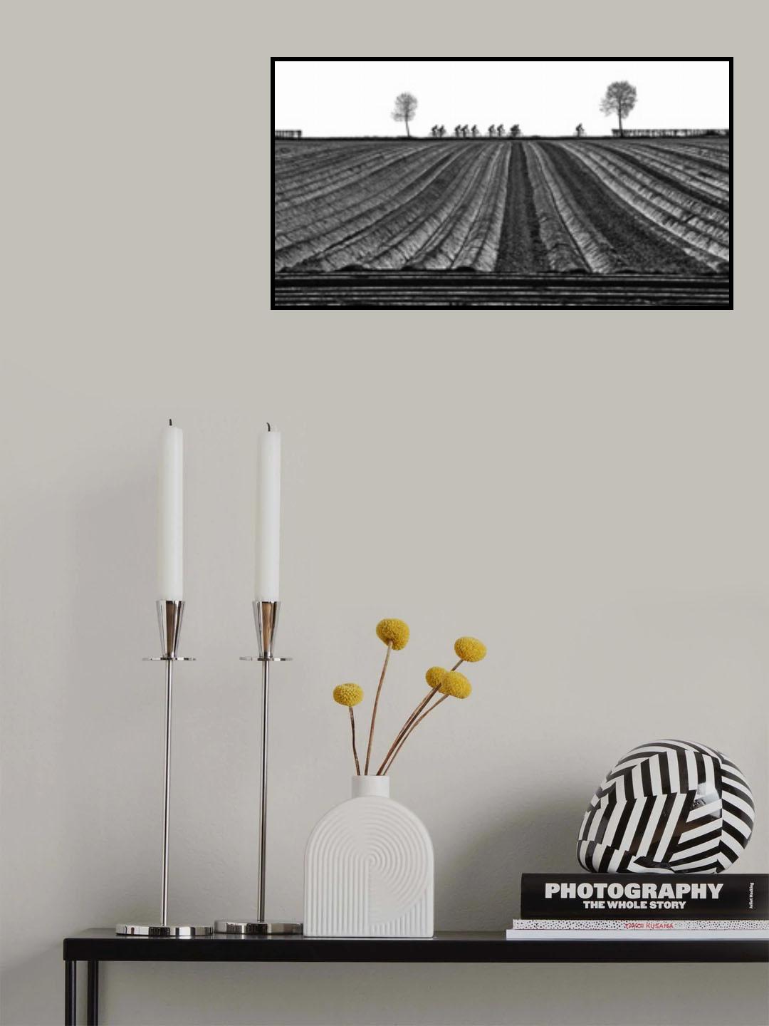 Rolling fields, rolling wheels Poster och Canvastavla