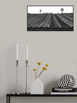 Rolling fields, rolling wheels Poster och Canvastavla