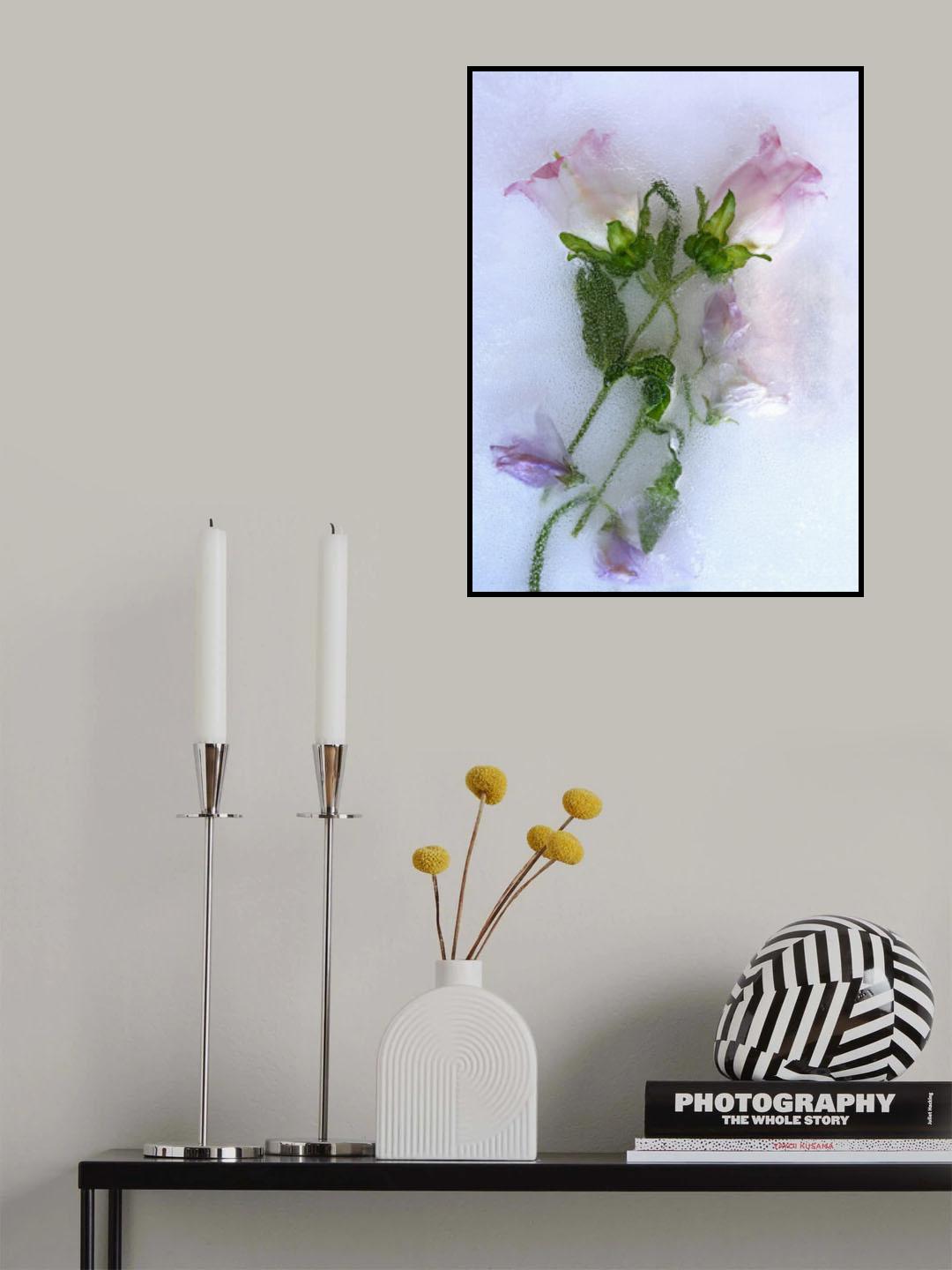 Flowers. Poster och Canvastavla