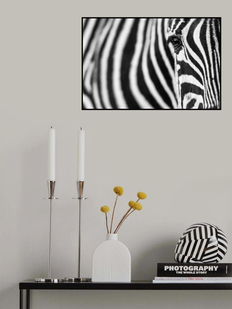 Zebra stripes Poster och Canvastavla