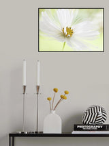 Winter White Poster och Canvastavla