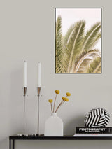 Oasis Palm 01 Oa 01 Poster och Canvastavla