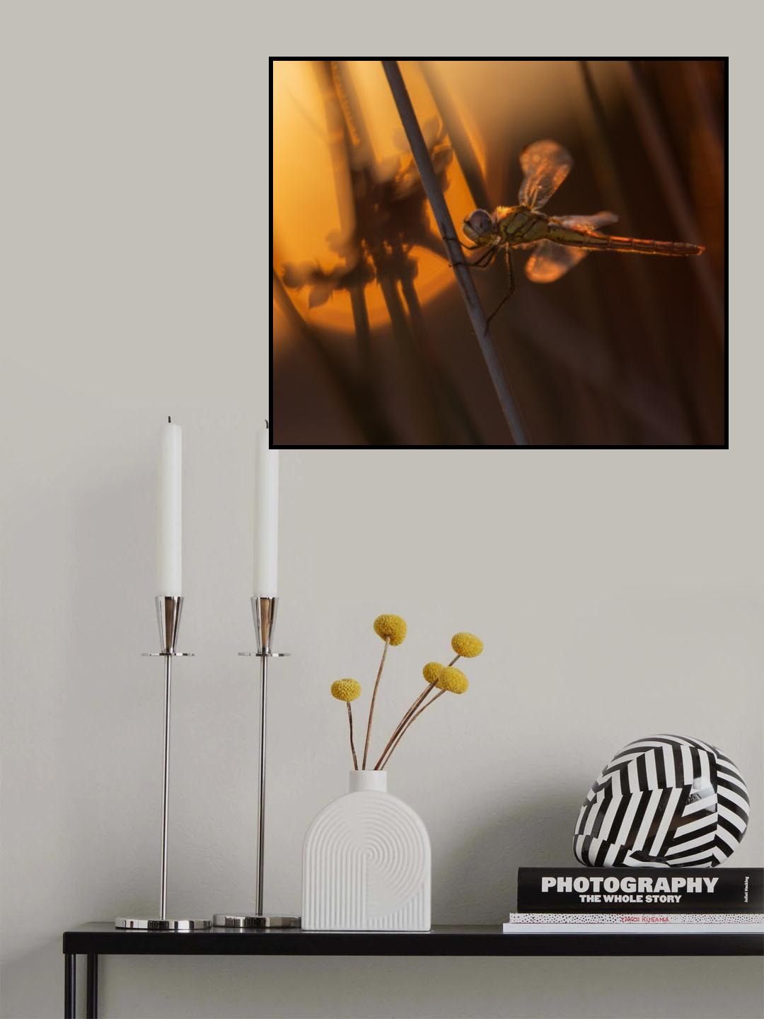 Time to sleep Poster och Canvastavla