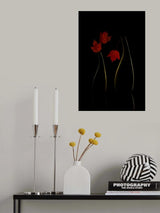Autumn color Poster och Canvastavla