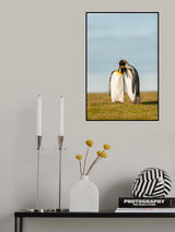 King Penguins couple Poster och Canvastavla