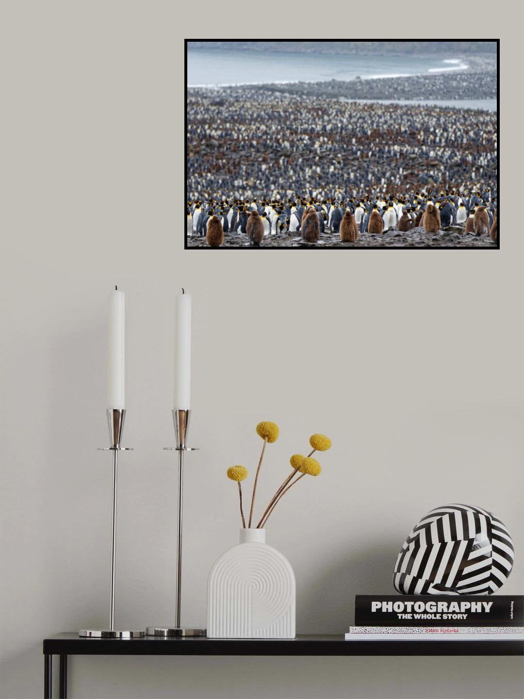 Many Poster och Canvastavla