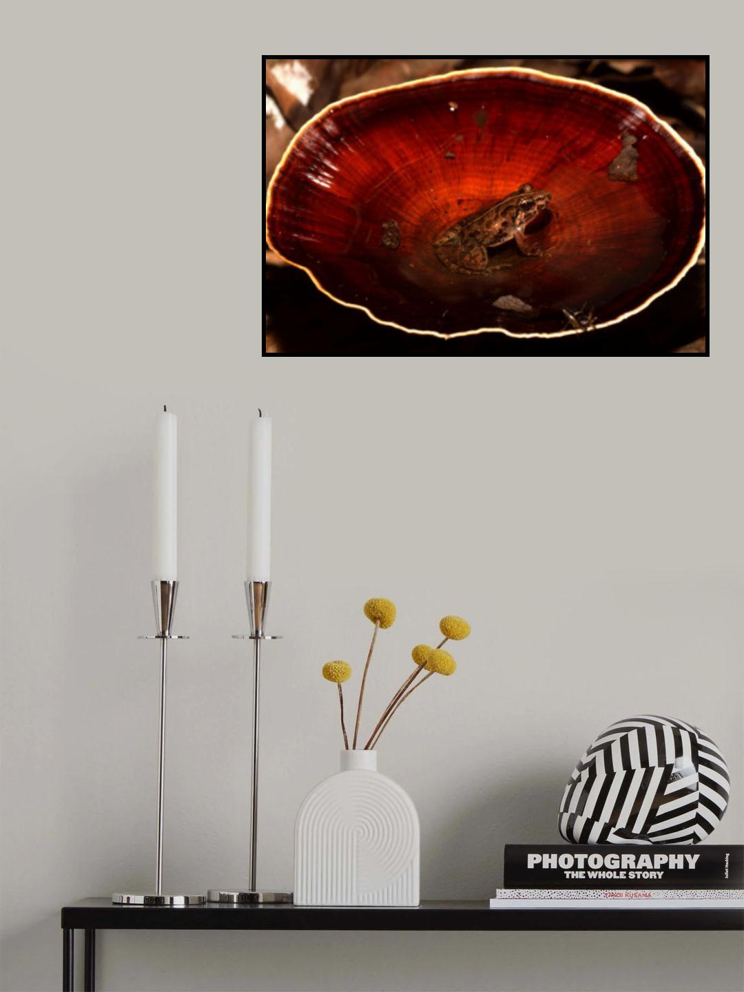 frog found in waterfilled mushroom Poster och Canvastavla