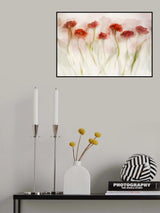 Tulips (II) Poster och Canvastavla