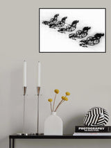 Shades pursuit Poster och Canvastavla