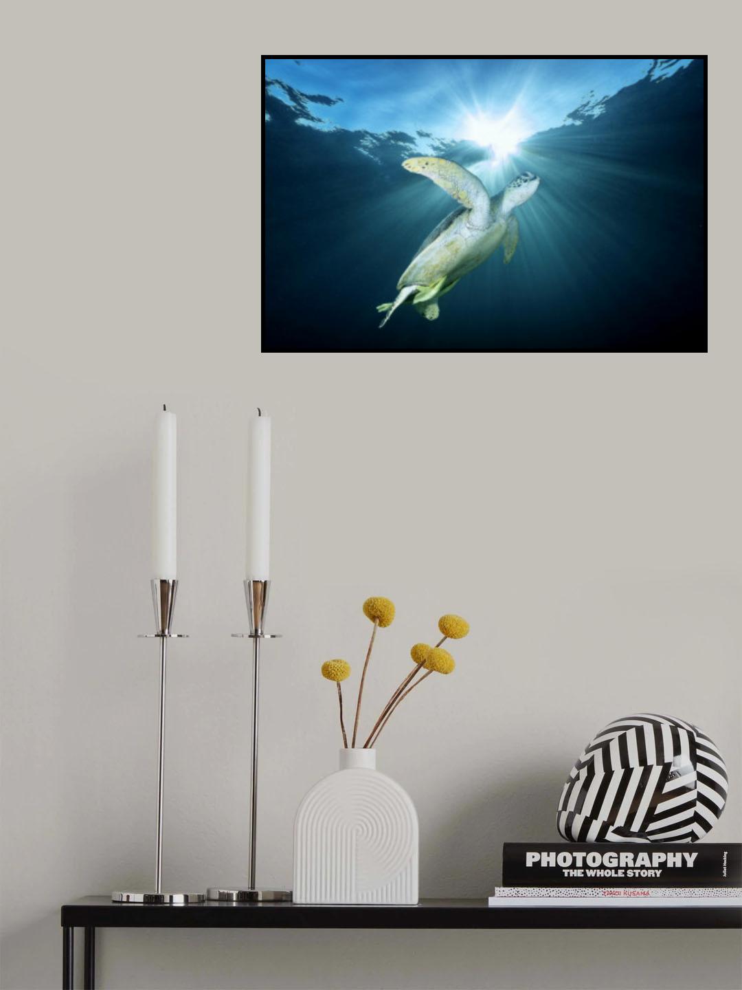 Into the light Poster och Canvastavla
