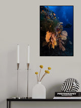Diving Poster och Canvastavla