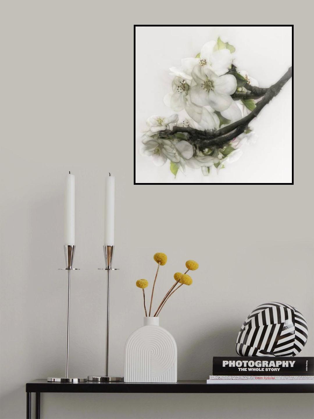 Gracefulness Poster och Canvastavla