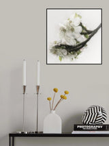 Gracefulness Poster och Canvastavla
