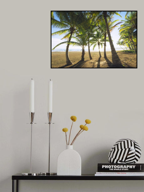 Tropical Morning Poster och Canvastavla
