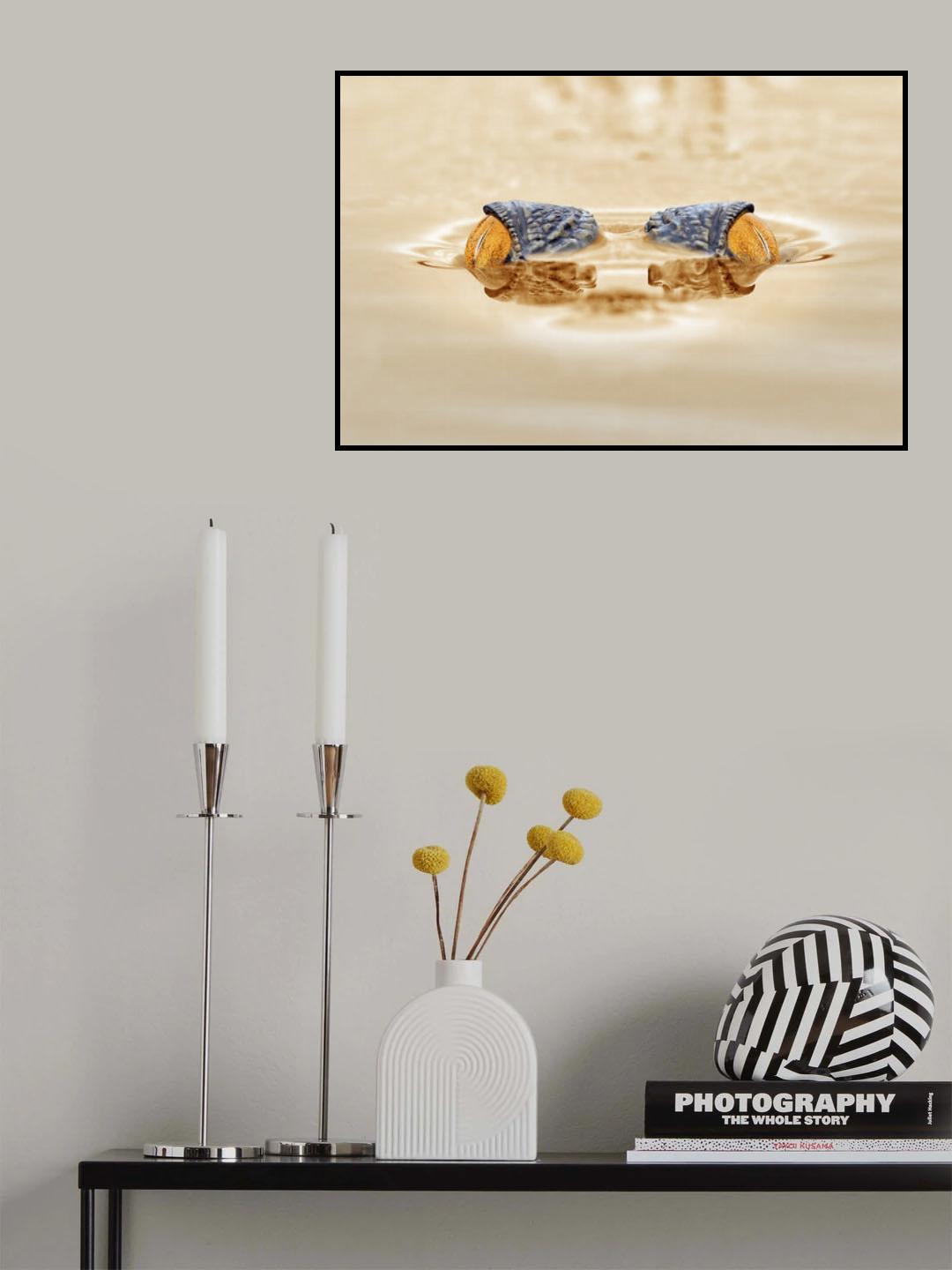 Crocodile - The Gold Eye Poster och Canvastavla