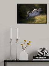 Stile Poster och Canvastavla