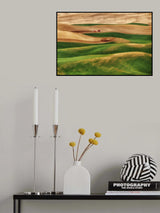Painter of the Land Poster och Canvastavla