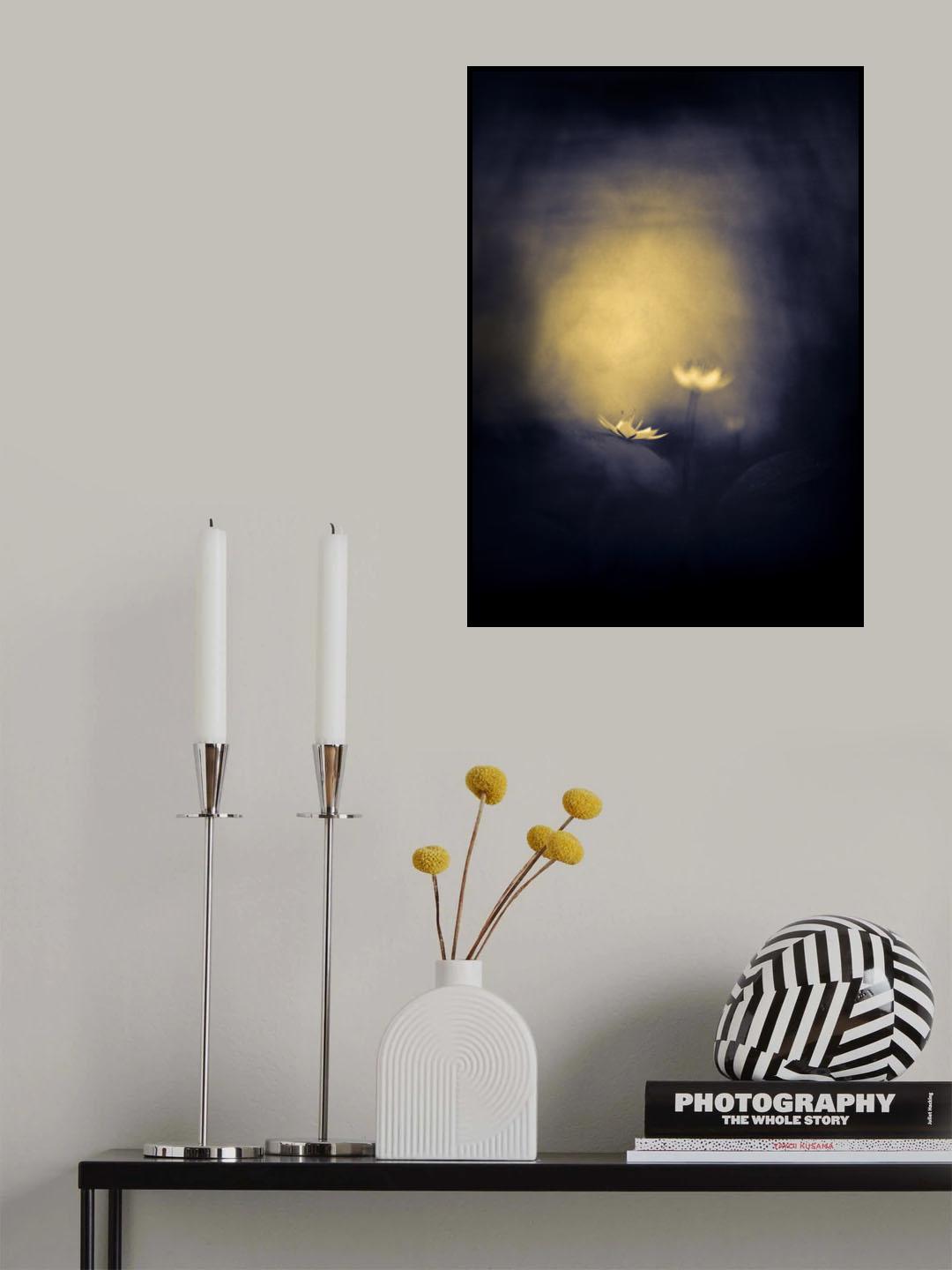 Stars. Poster och Canvastavla